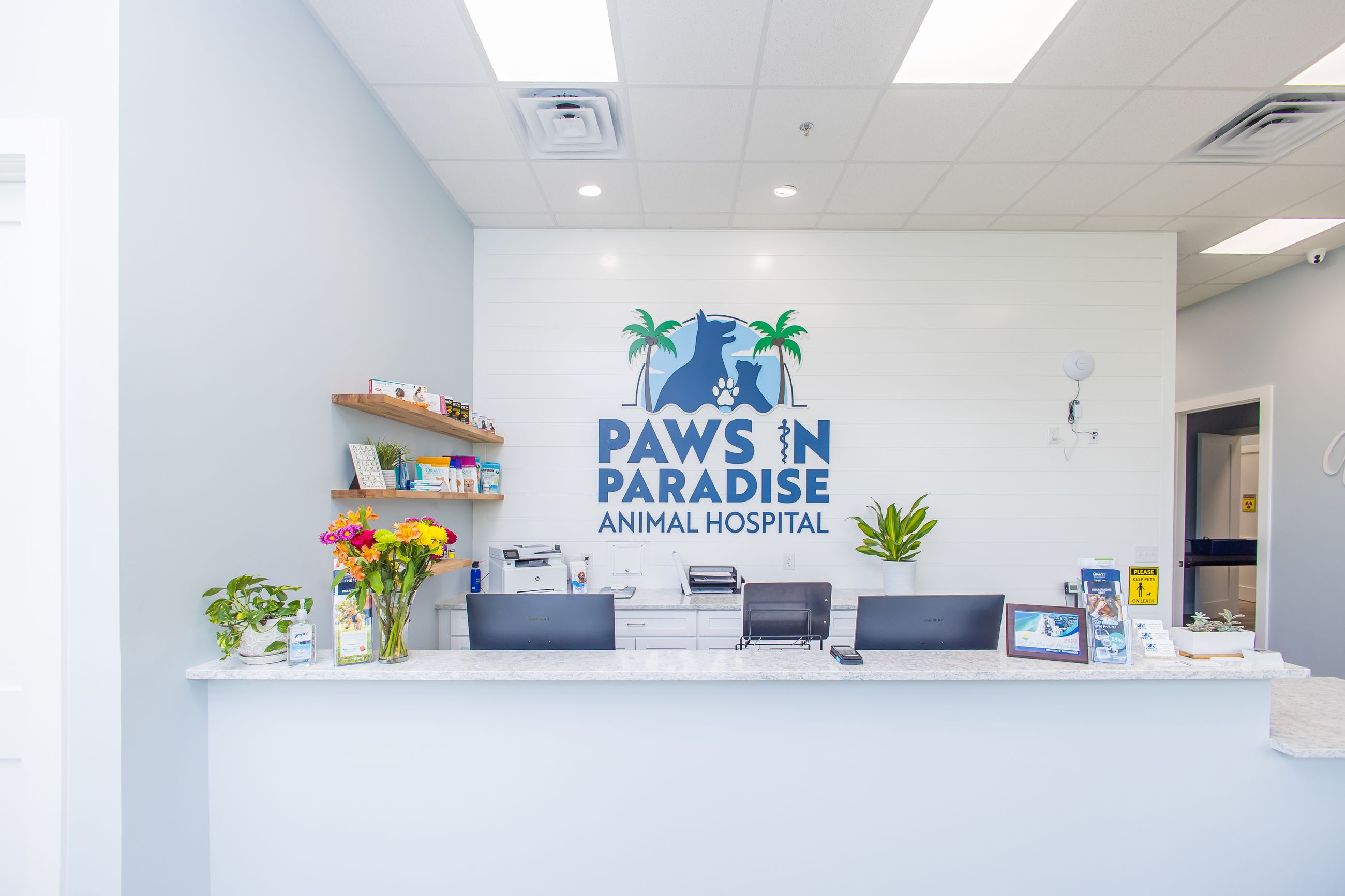 HighQuality Animal Hospital in Inlet Beach, FL I Paws In Paradise Animal Hospital
